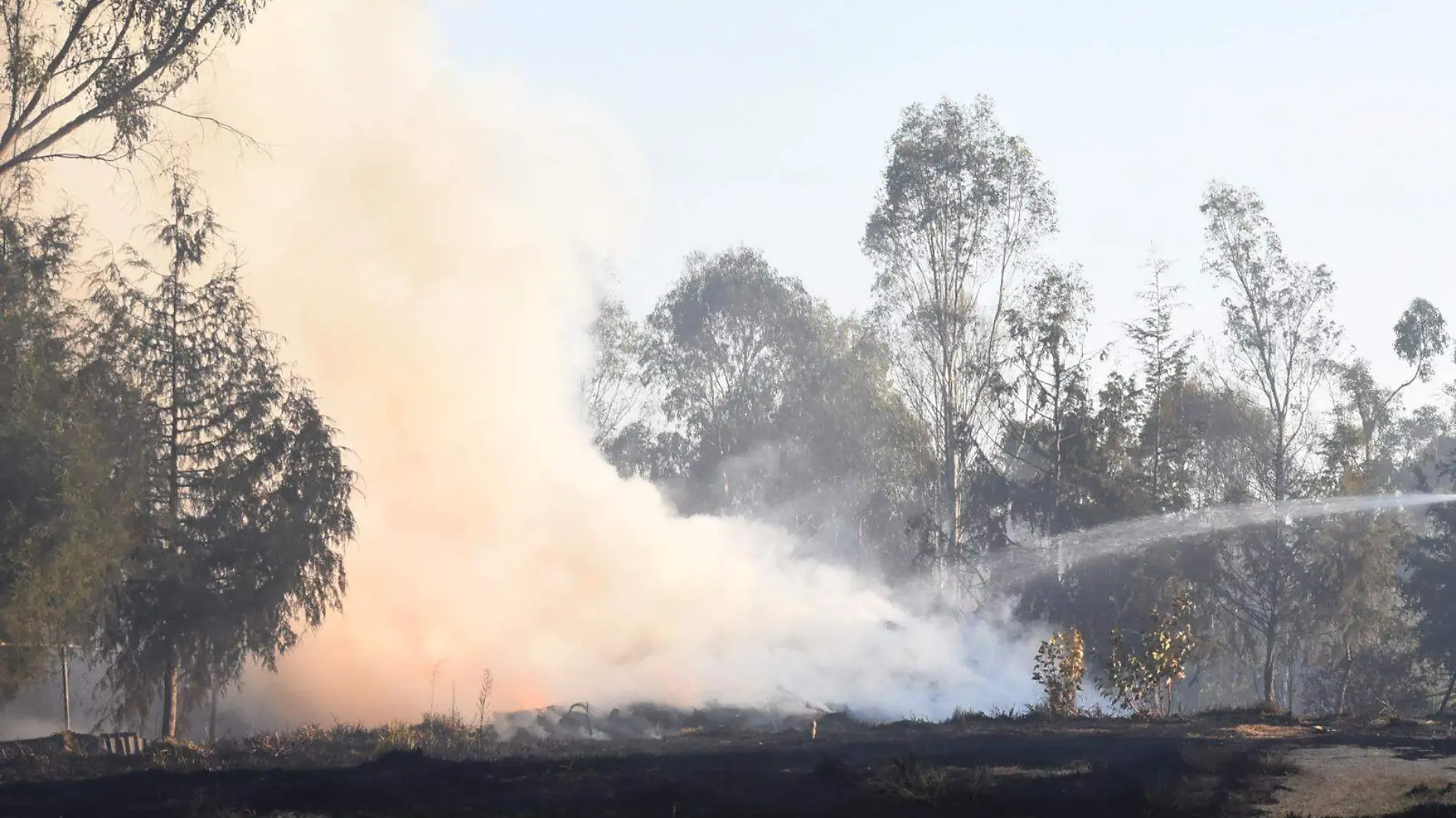 Incendios forestales (3)